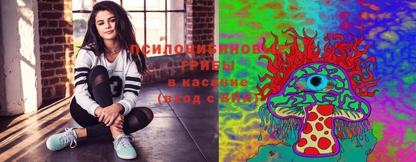 бутират Богородицк