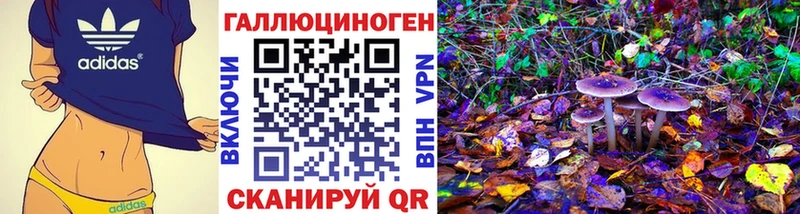 Псилоцибиновые грибы ЛСД  Купить где  Вышний Волочёк 